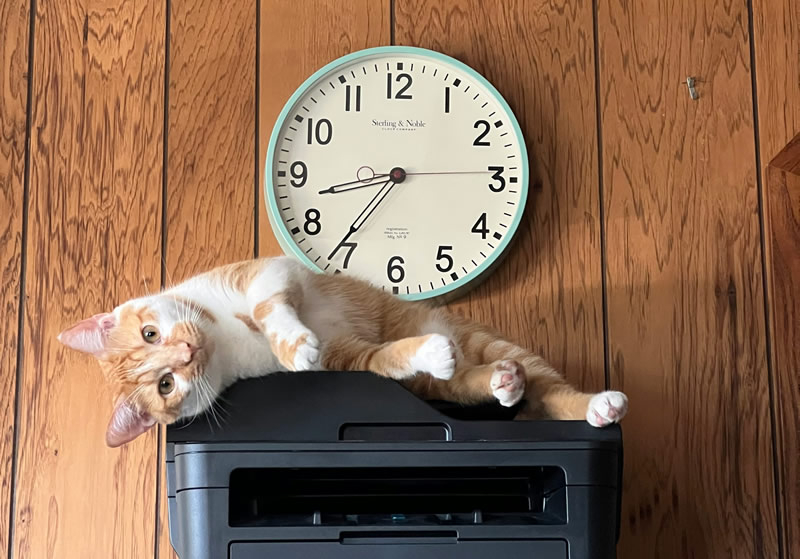 سيتوقف Windows 11 عن دعم برامج تشغيل طابعات V3 وV4 القديمة مع التحديث القادم