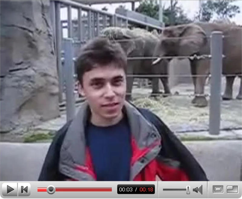 دخلت أول مقاطع فيديو من يوتيوب إلى مجموعات المتحف