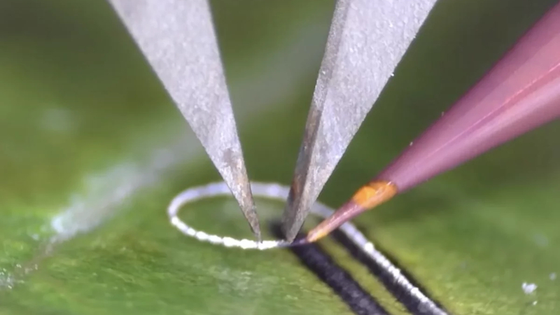 المهندسون ابتكروا جهازًا يتيح وضع المكونات الإلكترونية على الأنسجة الحية والزرعات الطبية دون إلحاق أضرار