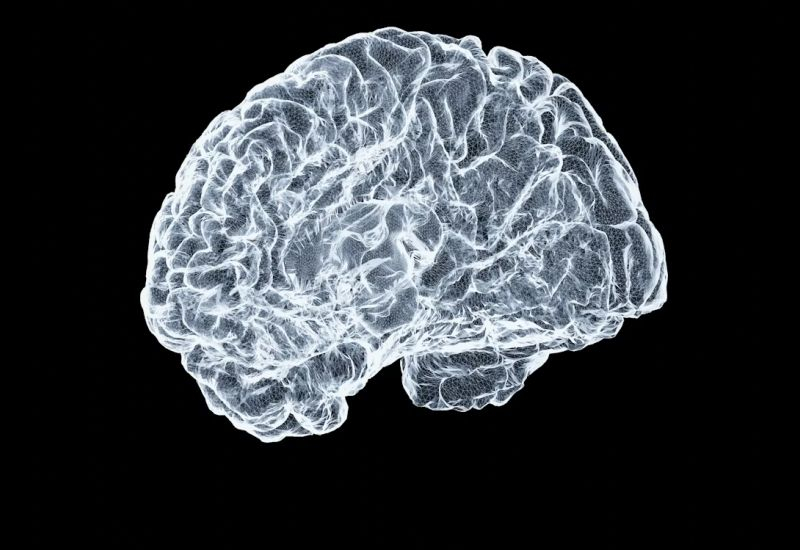 الزرعات الدماغية الصينية تتأخر عن شركة Neuralink الأمريكية بحوالي ثلاث سنوات