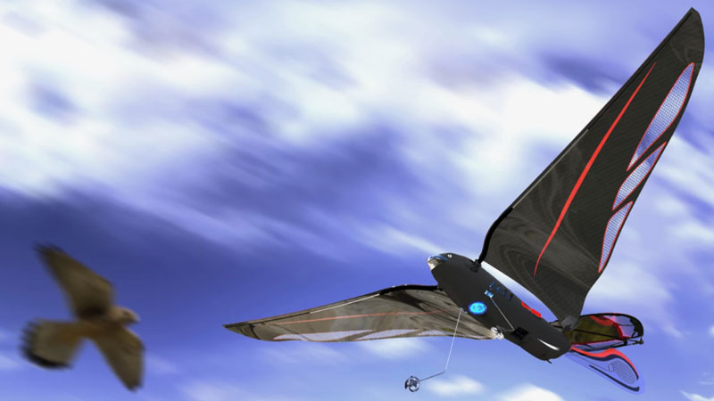 صنع المهندس طائرًا روبوتيًا يزن عشرة جرامات، يصل سرعته إلى ٣١ كم/س ويُتحكم به عبر الهاتف الذكي